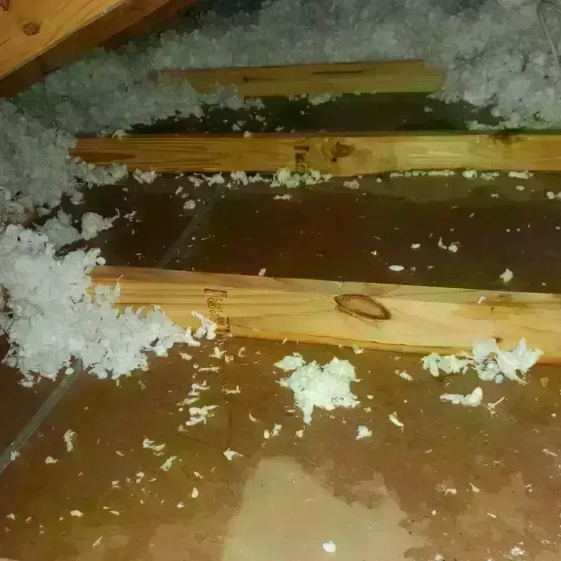 Attic Water Damage in Kearney Park, MS