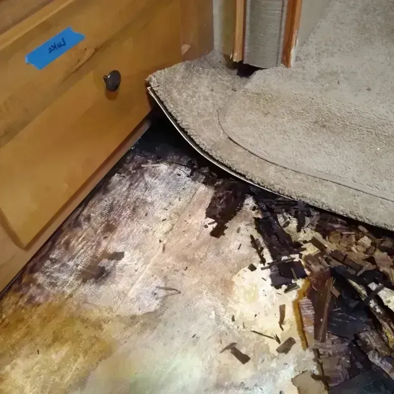 Wood Floor Water Damage in Kearney Park, MS